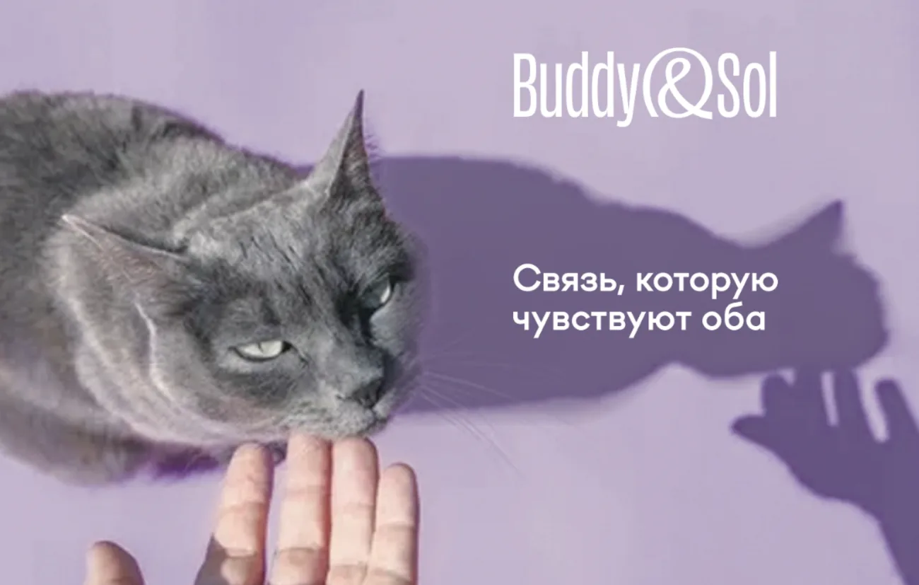 Buddy and Sol — связь, которую чувствуют оба