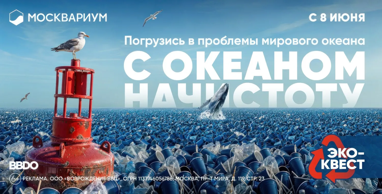 С океаном начистоту — эко-квест