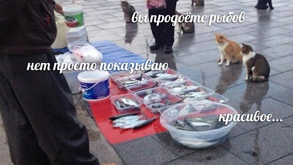 Оригинальный мем «Рыбов показываем»