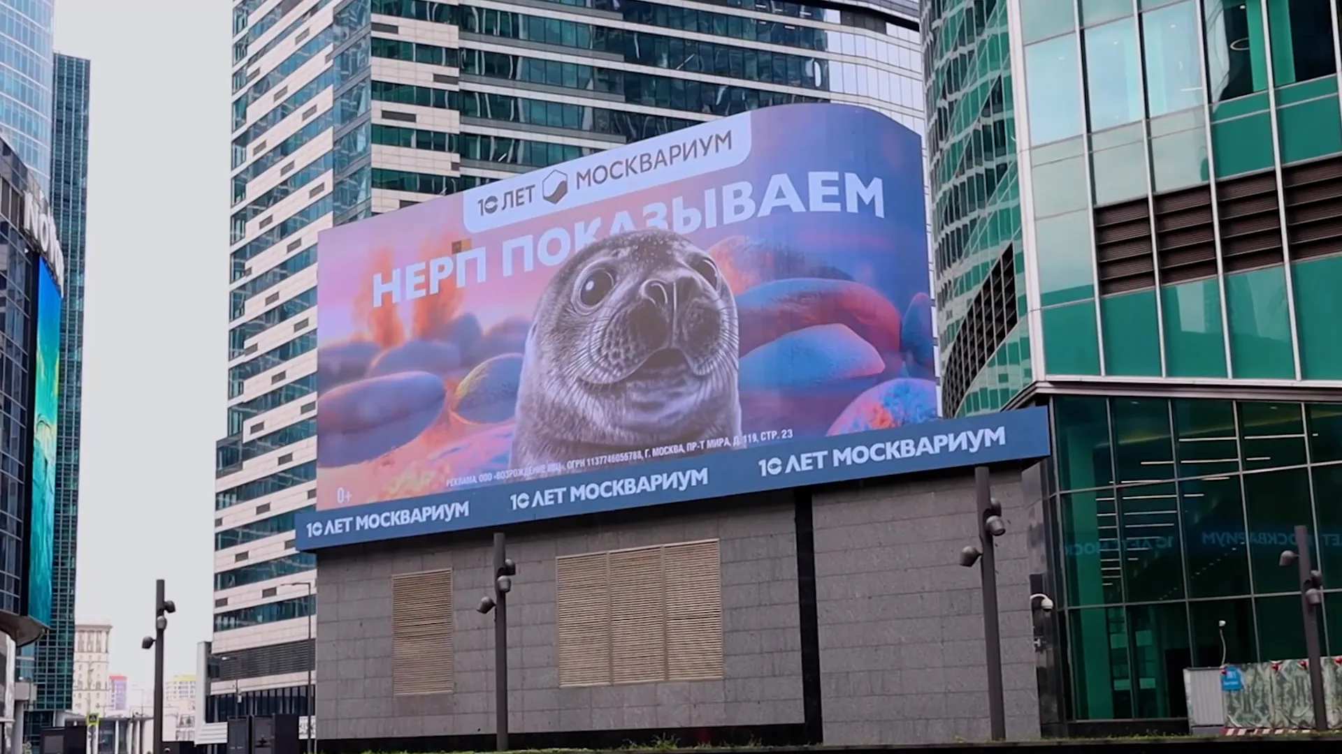 Нерп показываем · Москва-Сити