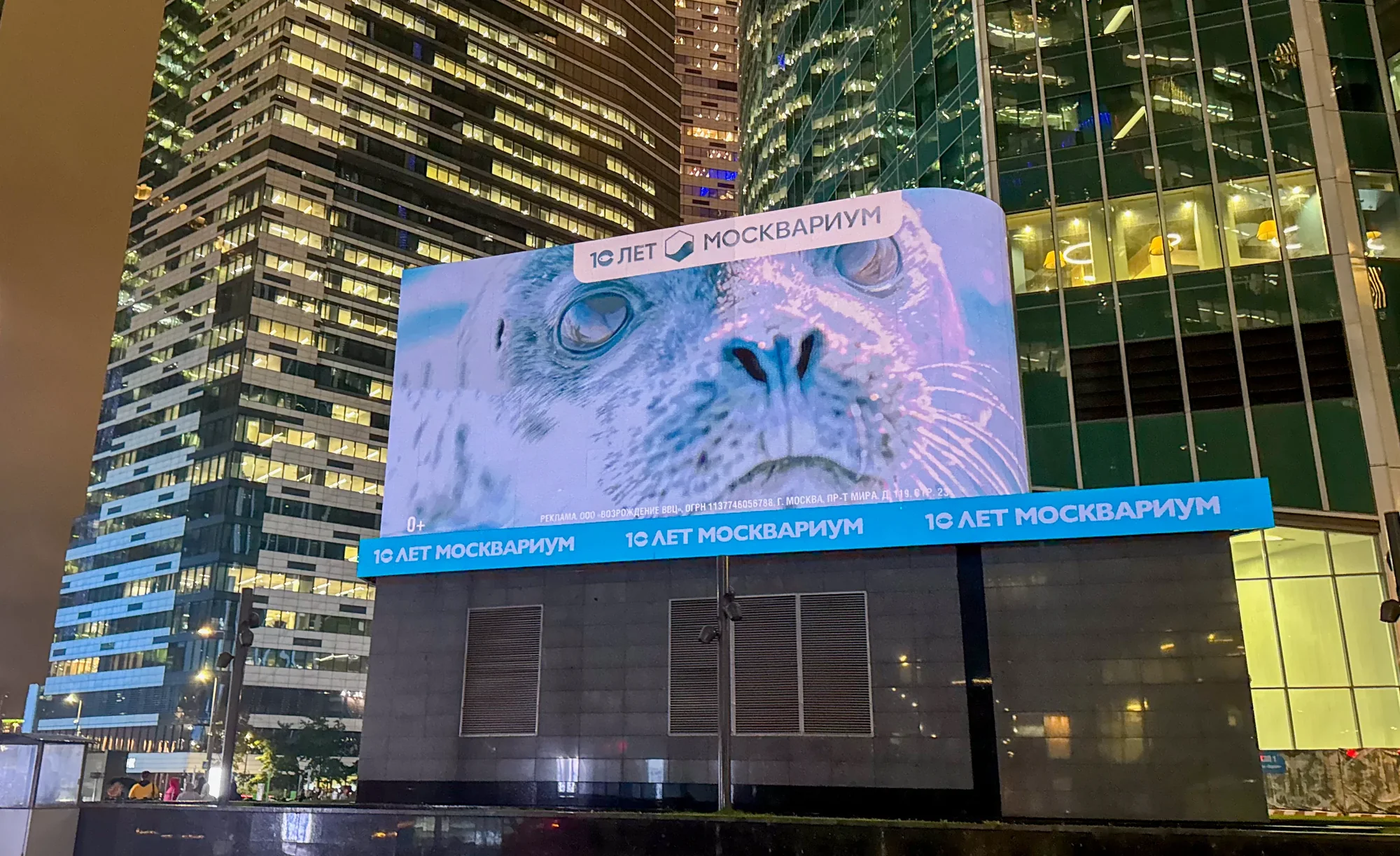 Москва-Сити · нерп ночью