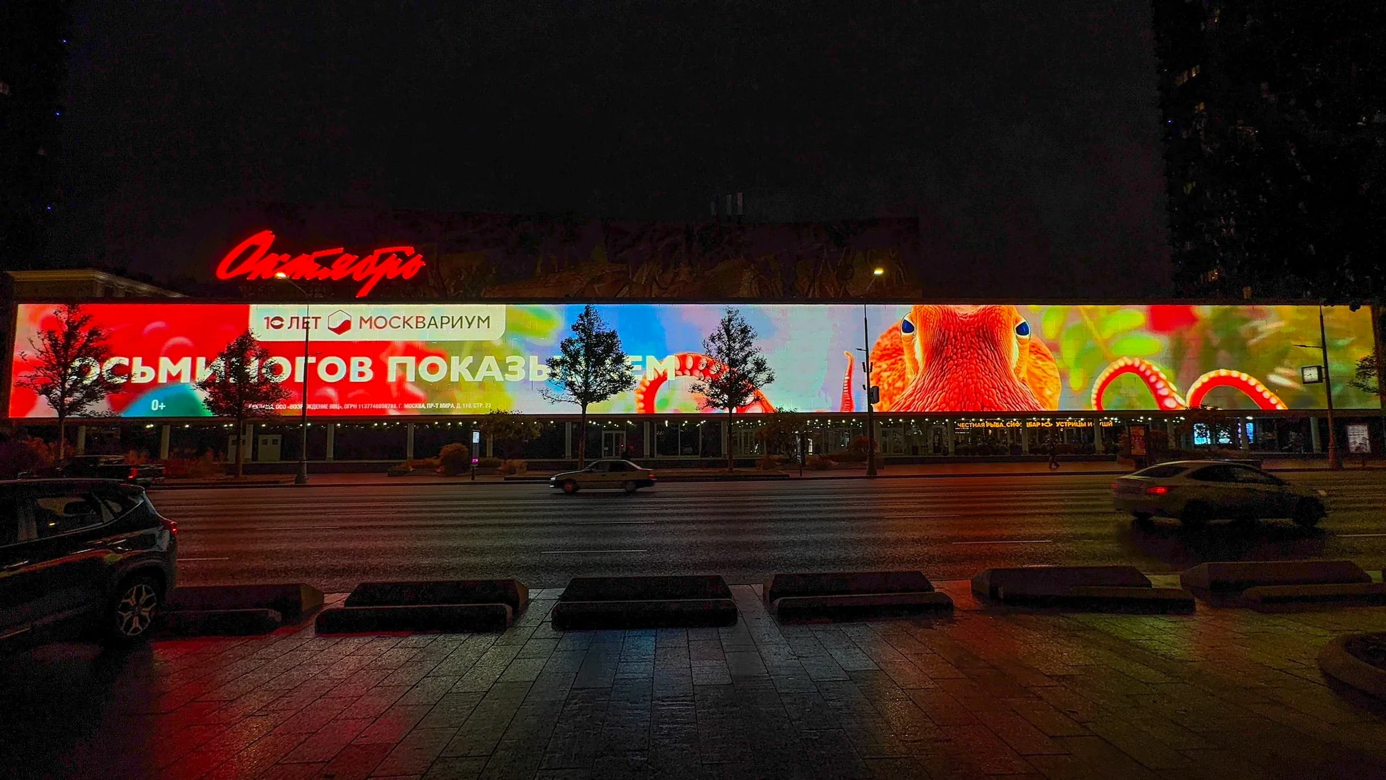 Осьминогов показываем · кинотеатр Октябрь
