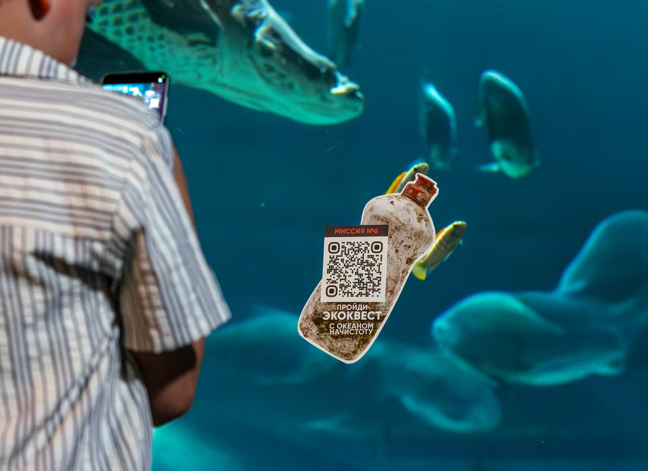 AR-загрязнение поверх аквариума: бутылка и QR-код