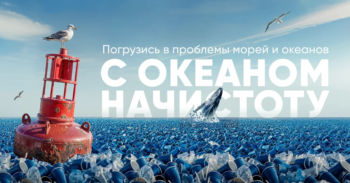 С океаном начистоту — WebAR-квест в Москвариуме